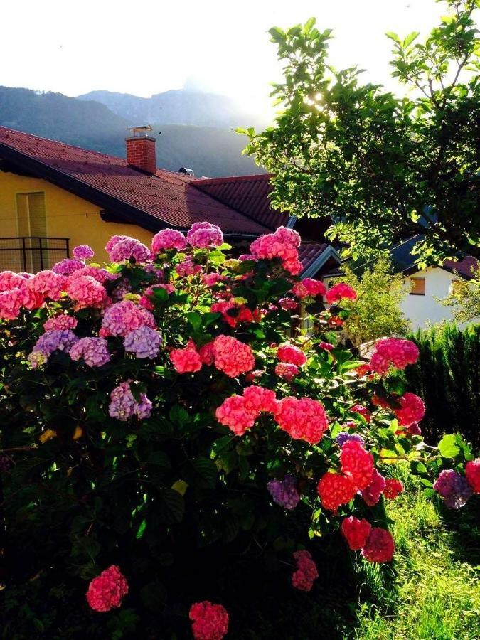 Cosy Cottage With Views Near Kobarid Ngoại thất bức ảnh